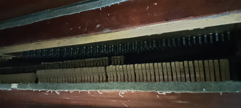 IMG_20251015_142055_370-1